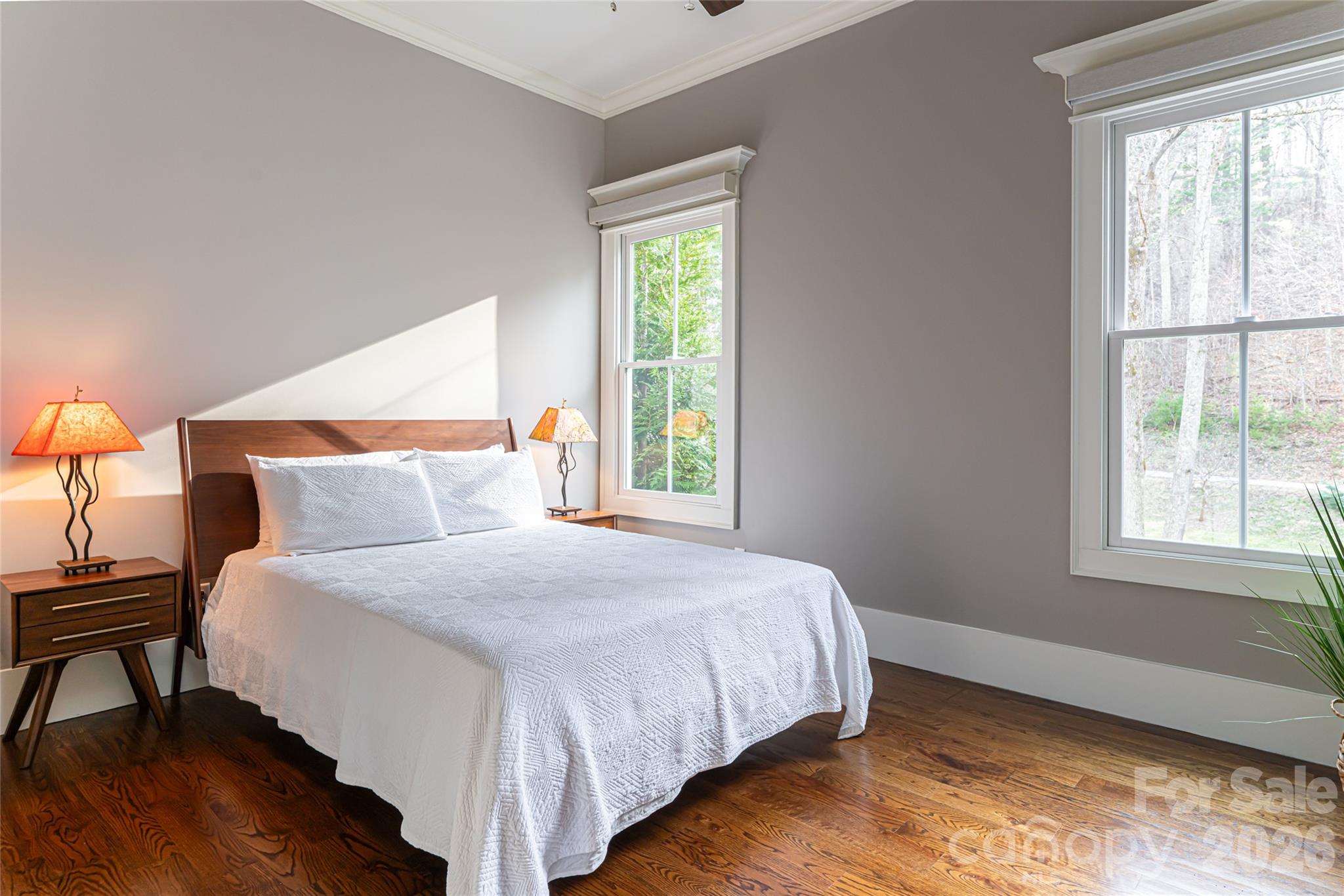 Town Mountain Preserve - Residential