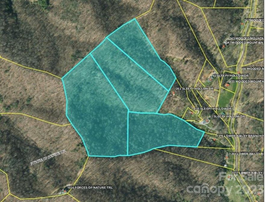 45 +/- acres in gorgeous Madison County! You'll discover terrific potential in this scenic rural setting with mountain views and some trails roughed in. Zoning is Residential-Agricultural. 4 PINs. Convenient to I-26 and only 25 mins to downtown Asheville!