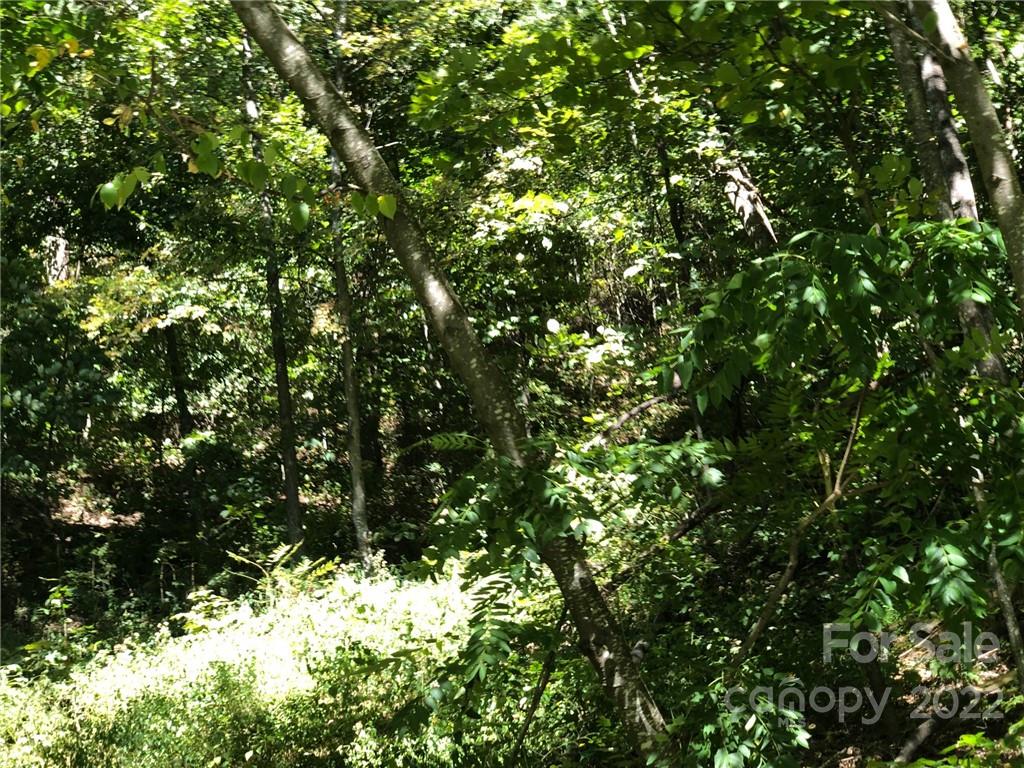 Lot #74 Marshall Ridge Road