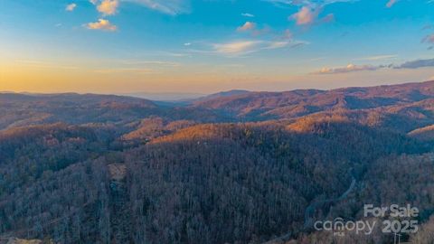 TBD Banner Elk Highway Elk Park NC 28622