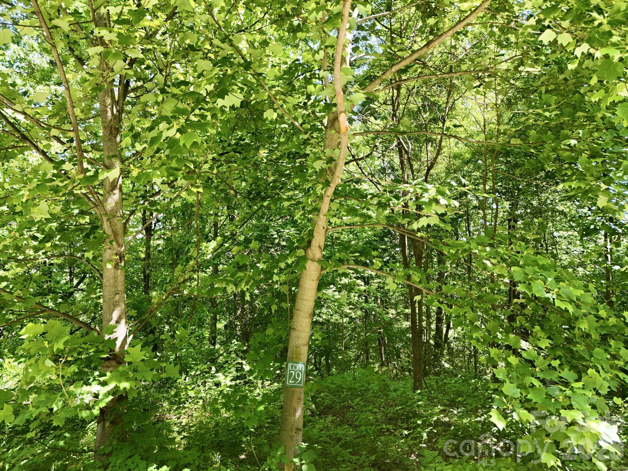 High Cliffs At Round Mountain - Land