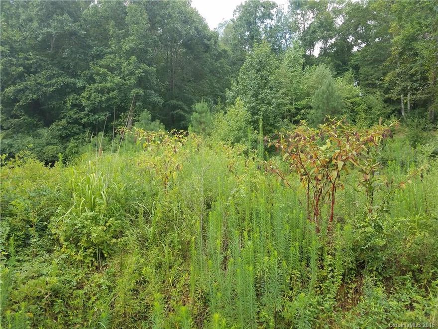 Nice and quiet neighborhood in one great location.  Over an acre residential lot in Rock Hill, close to downtown and I-77.