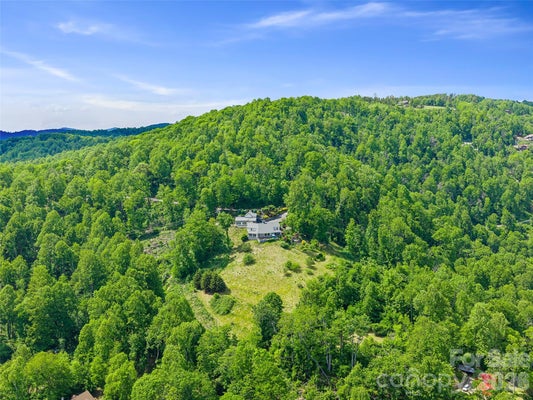 729 BEARWALLOW RD, LITTLE SWITZERLAND, NC 28749 - Image 0a14ef26ff4ab7e7ba826e44f4ebf27d/2840281696