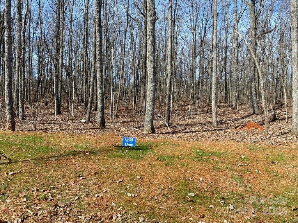 Magnolia Ridge - Land