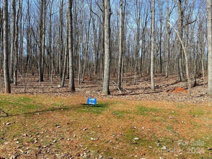 Bring your builder and turn your dream of a custom home into reality on this enchanting .91-acre wooded lot nestled within the Magnolia Ridge neighborhood, boasting the rare advantage of NO HOA fees. Enjoy the convenience of being near shopping, medical facilities, and dining options. With easy access to Charlotte, the Charlotte Douglas Airport, Denver, and Mooresville, commuting becomes a breeze.  Building minimums are 2,200 square feet for a 1 story home, a 1.5-story dwelling 2,400 square feet with a minimum first floor of 2,000 square feet, or a grand two-story home of 2,600 square feet with a minimum first floor of 1,800 square feet, this lot accommodates your aspirations. The county has a four-bedroom septic plan on file, facilitating the realization of your dream home.