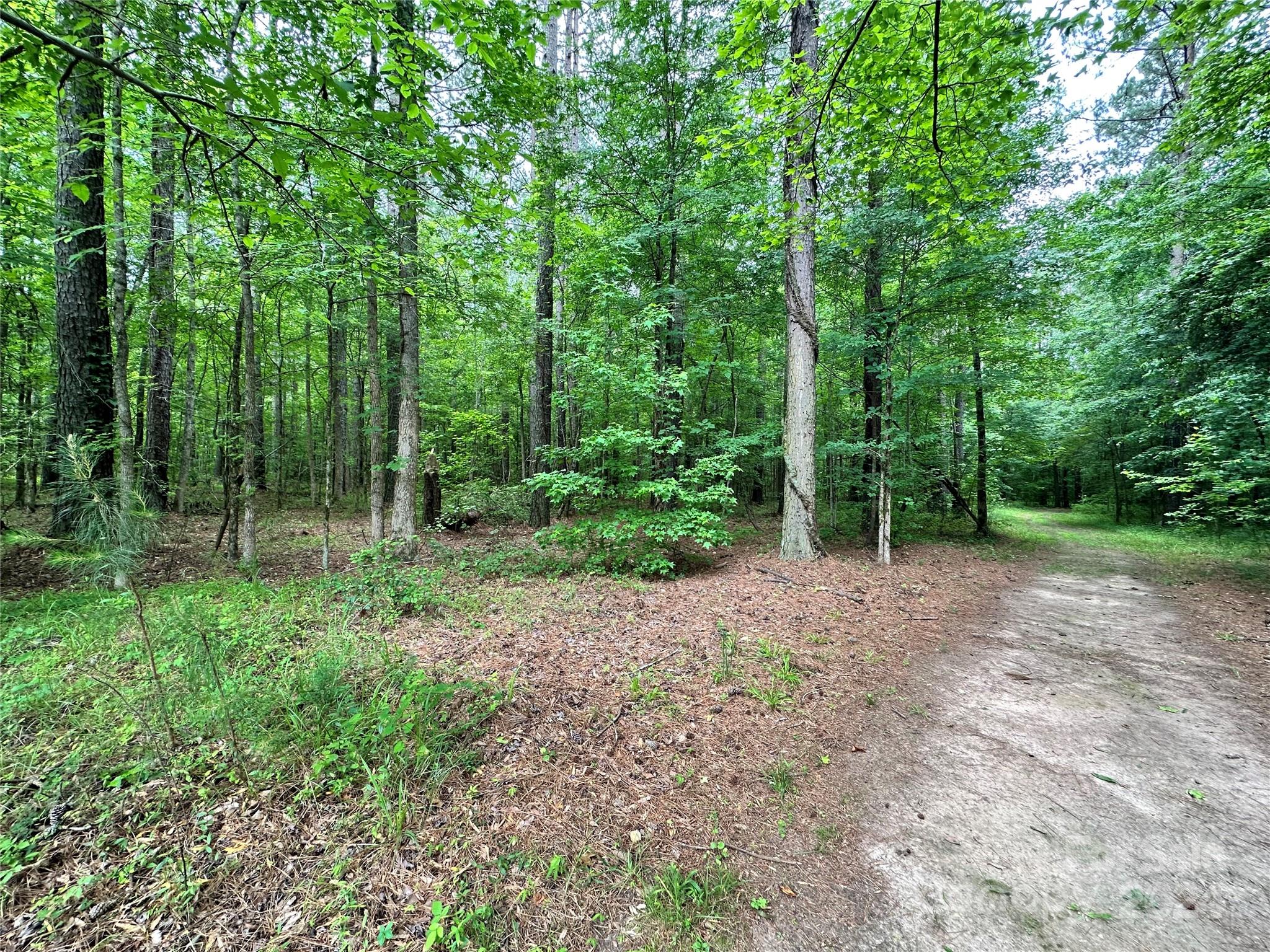 Riverchase Estates - Land