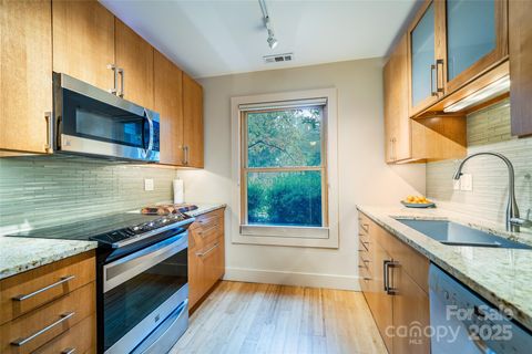 16 Spears Avenue 3 Asheville NC 28801