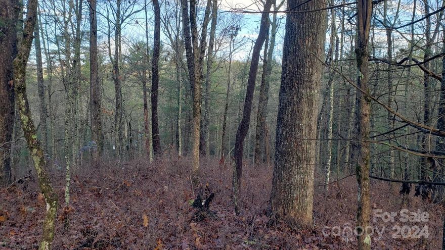 Here is your chance to create your dream home on 6.84 unrestricted acres in the serene Cedar Mountain community. Gravel road frontage is mostly level and straight and maintained by the state. An old gravel road bed with a gentle slope, culvert and ditches will  take you to a potential build site to the right on a level knoll. With some grading work for a short driveway and some clearing, you will have an ideal site. The old road is located near my sign, marked with a yellow flag and goes straight back. The build site has a gentle slope and the winter views of the mountains give you an idea of the view potential. A recent survey was completed that mostly indicates the boundaries. Just minutes to Dupont State Forest and Caesar's Head, the location could not be better. Cedar Mountain has become a thriving community of shops, restaurants and even a yoga studio! Don't miss out on this opportunity to build your custom home in a beautiful part of our country.