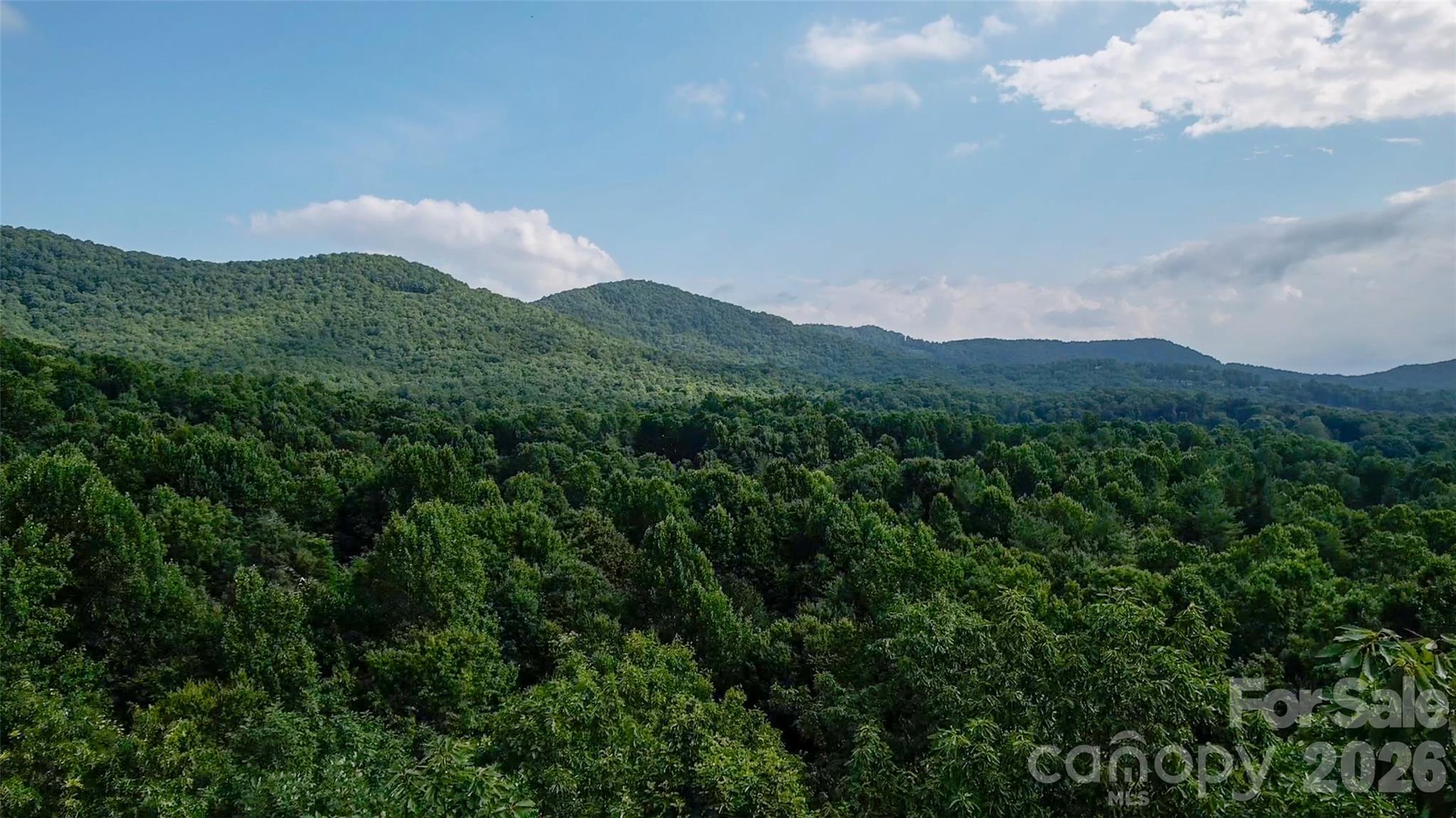 724 Streamside Drive