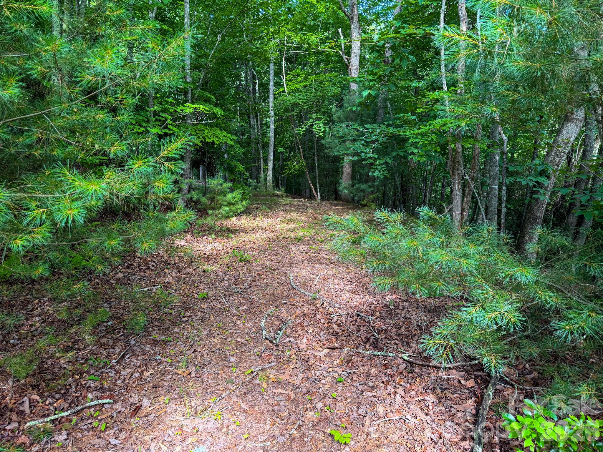 724 Streamside Drive