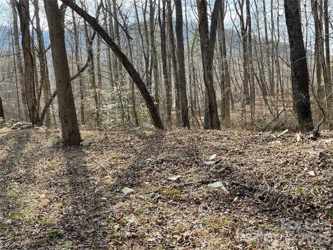 000 Max Metcalf Road Swannanoa NC 28778