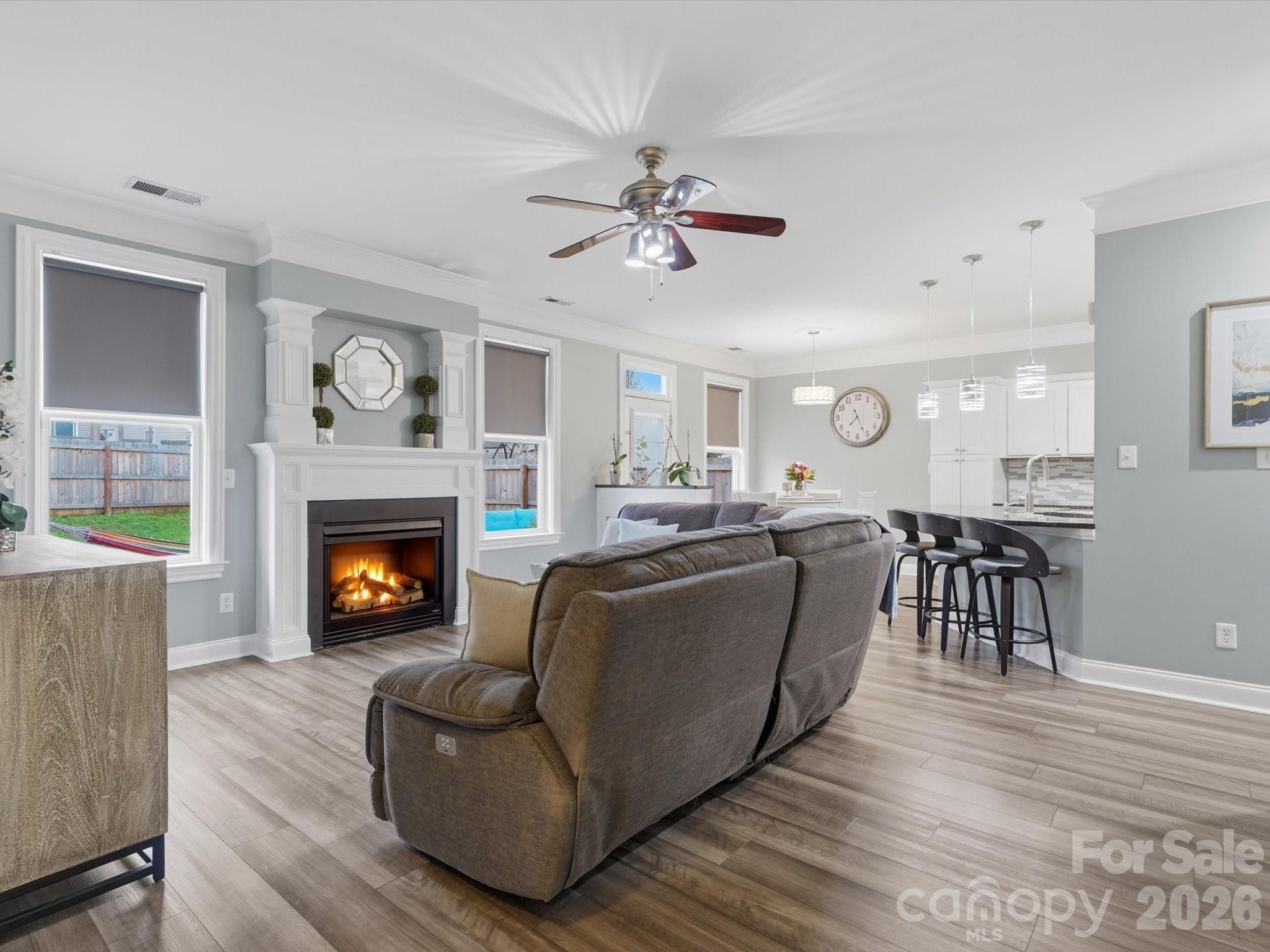 Mintworth Village - Residential