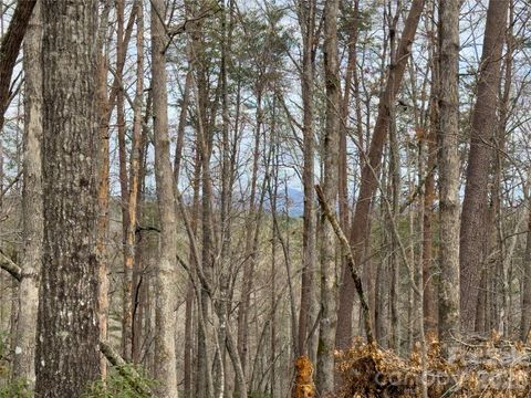 Lots 4-7 Carmel Ridge Rutherfordton NC 28139