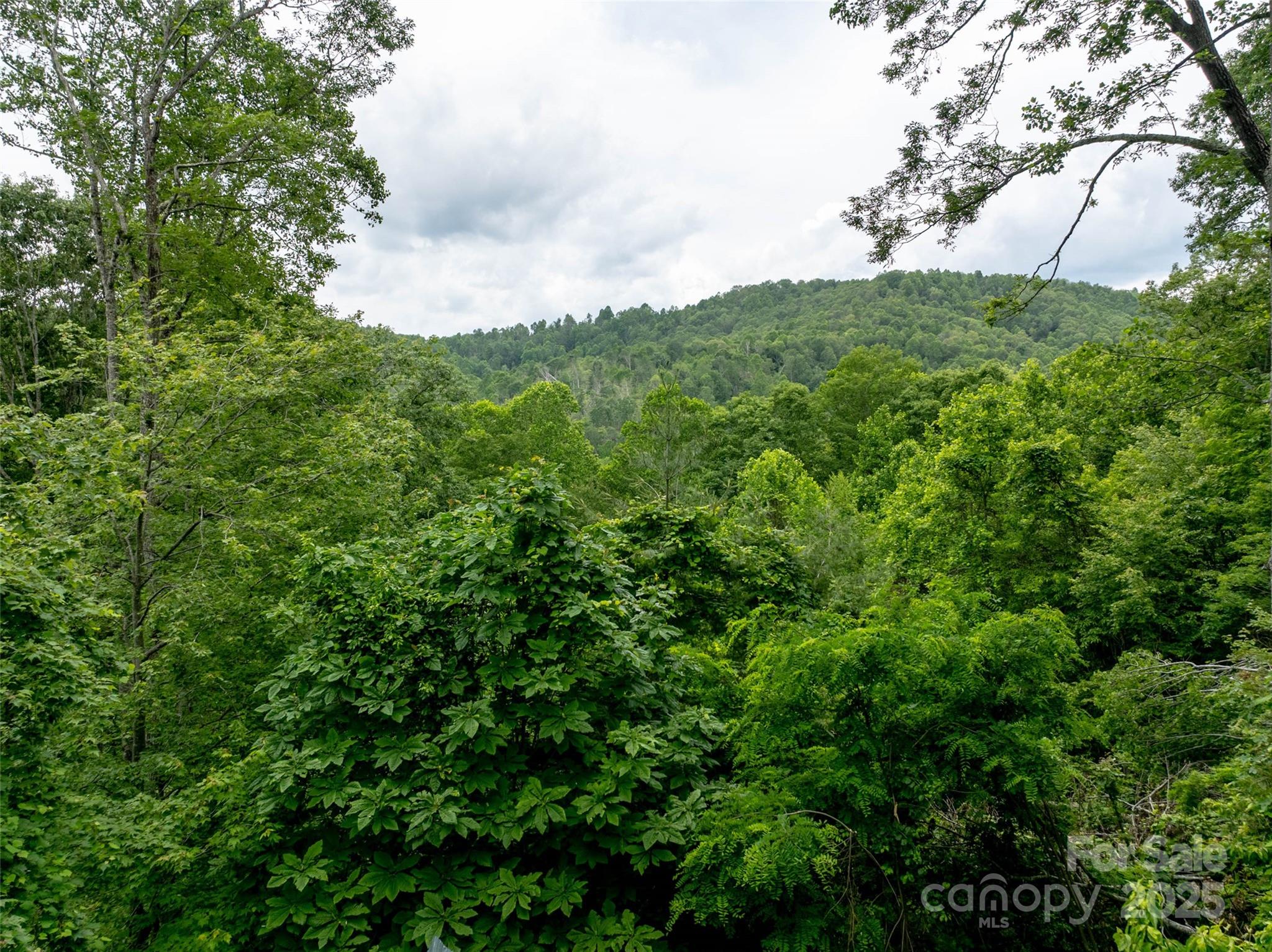 218 McGuffey Ridge Ridge