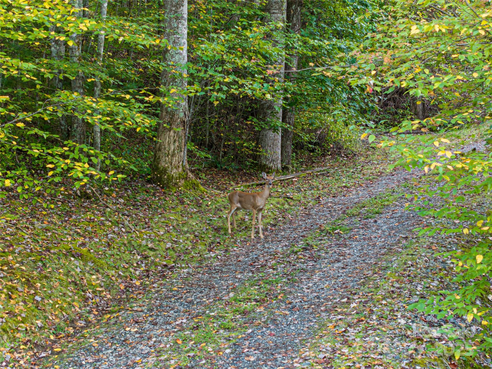 Whisper Mountain - Residential