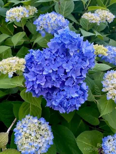 The Point - Residential