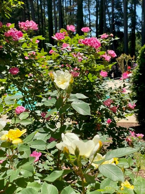 The Point - Residential