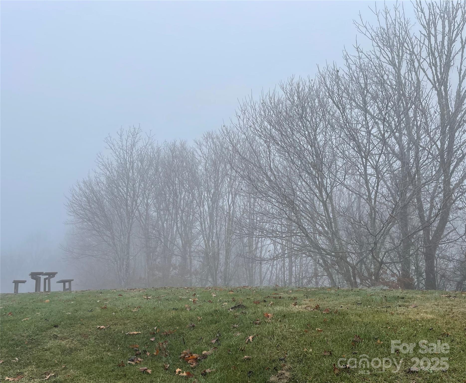 Hurricane Ridge Ltd - Land