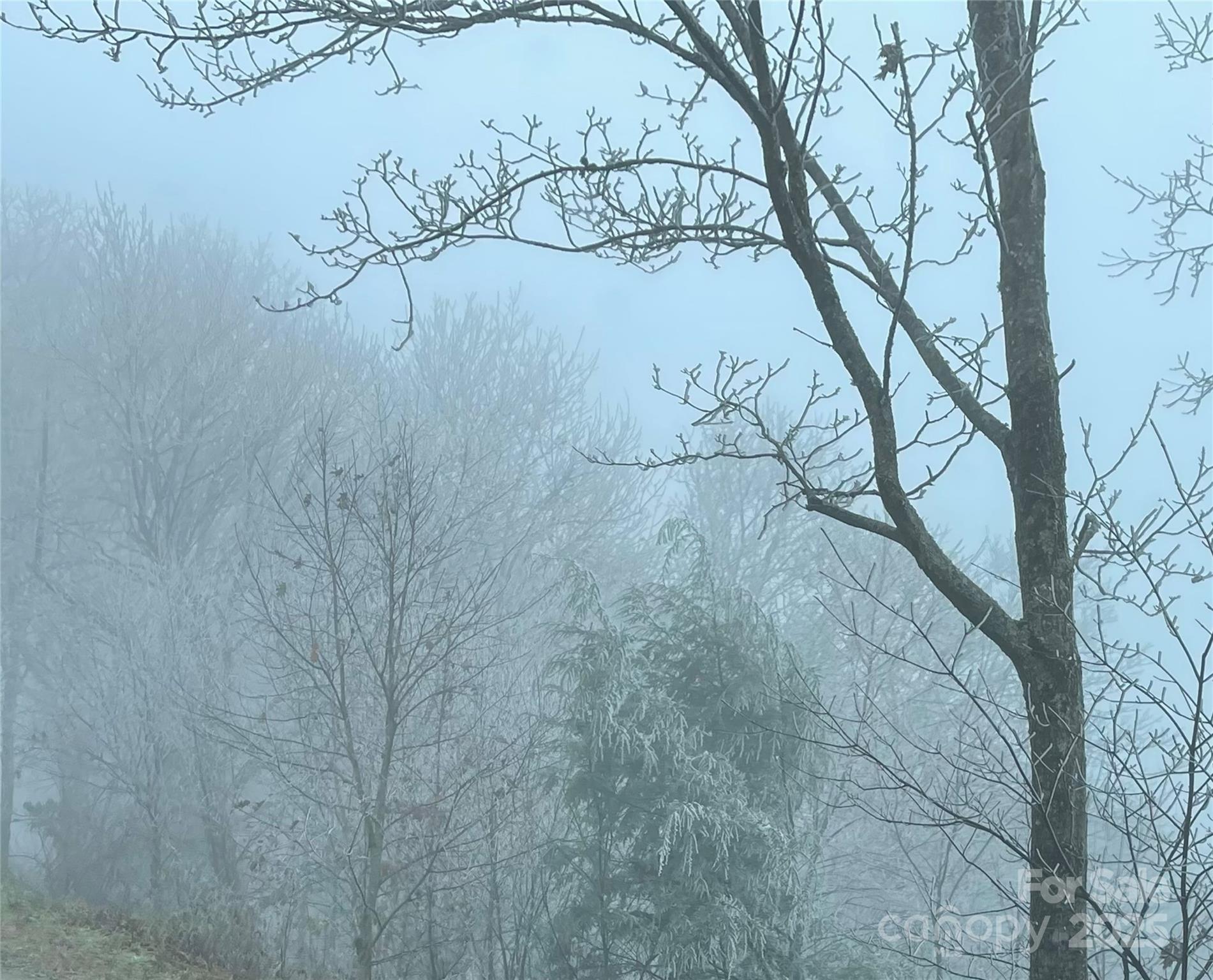 Hurricane Ridge Ltd - Land