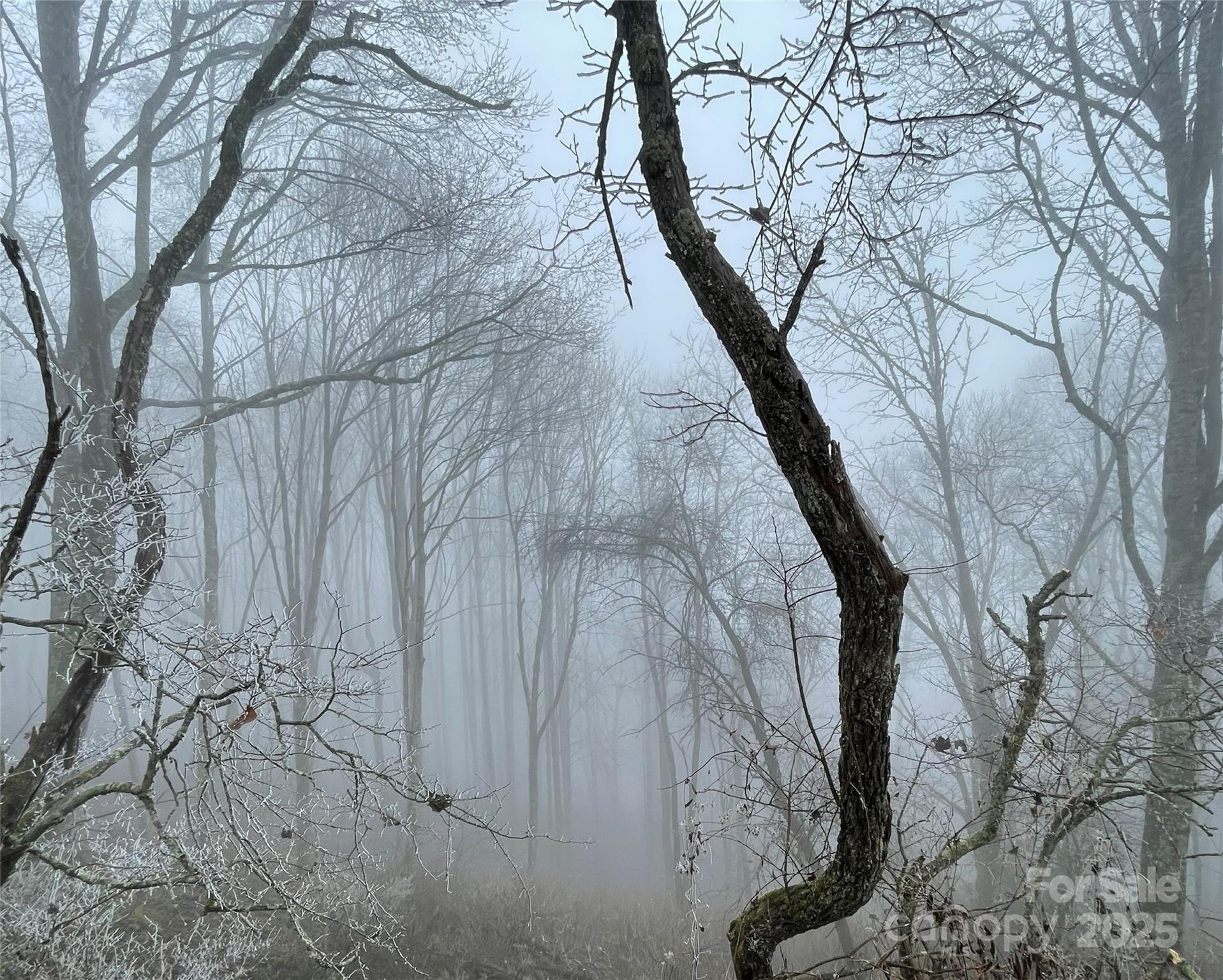 Hurricane Ridge Ltd - Land