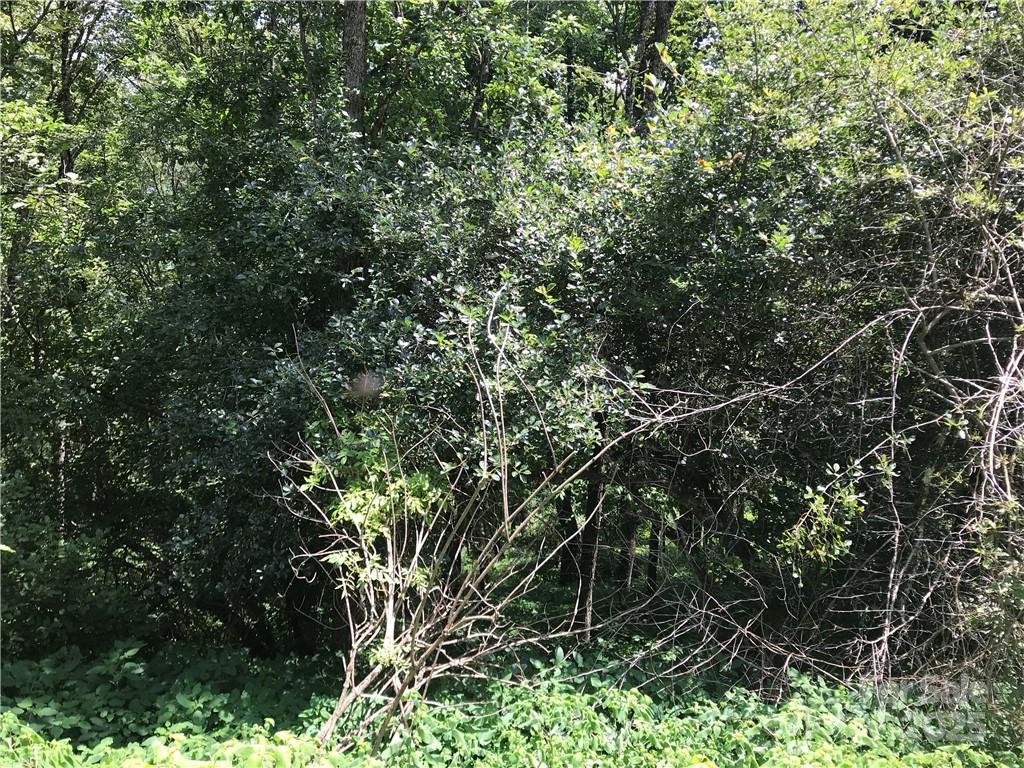 Hurricane Ridge Ltd - Land