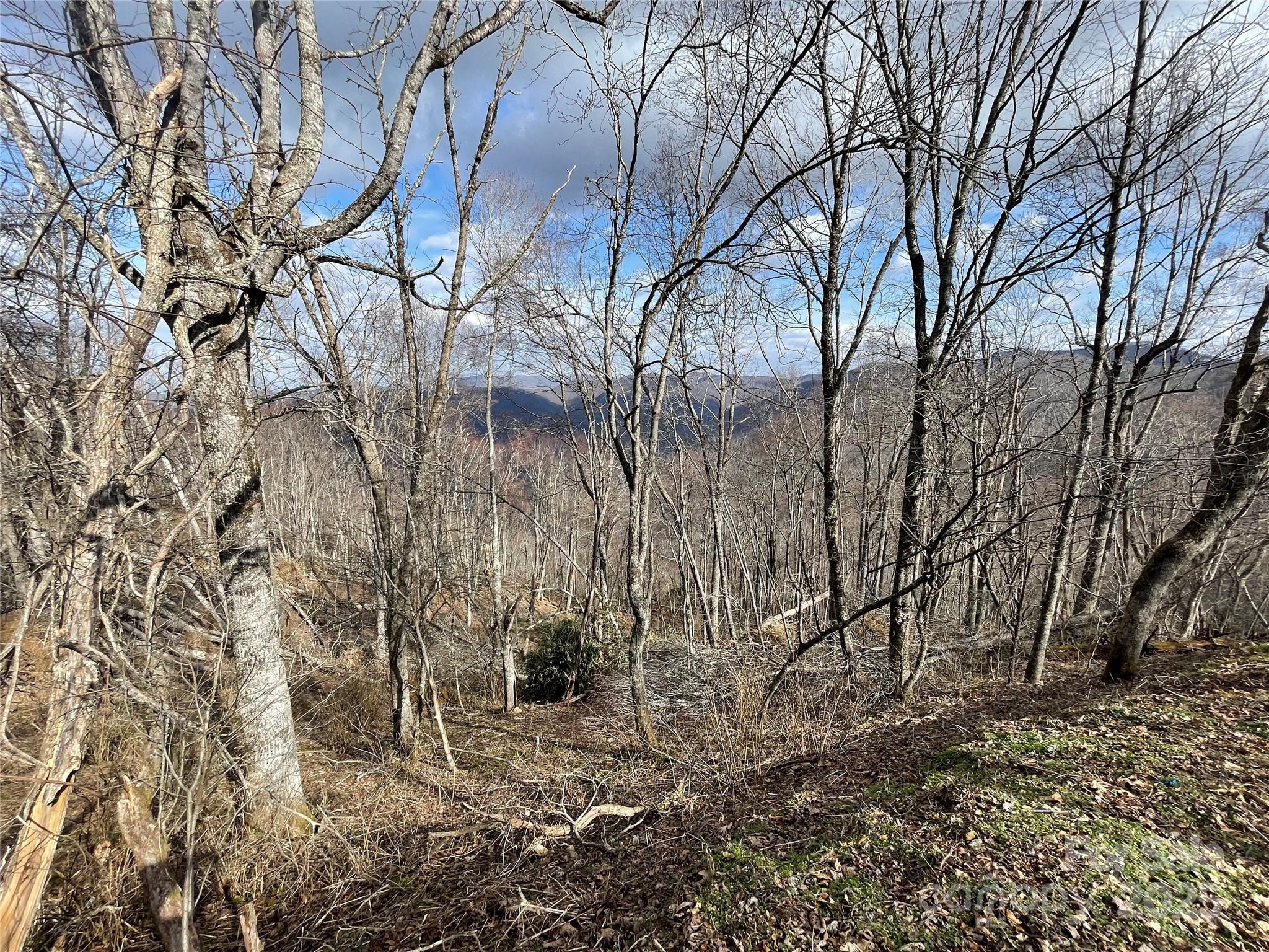 Hurricane Ridge Ltd - Land