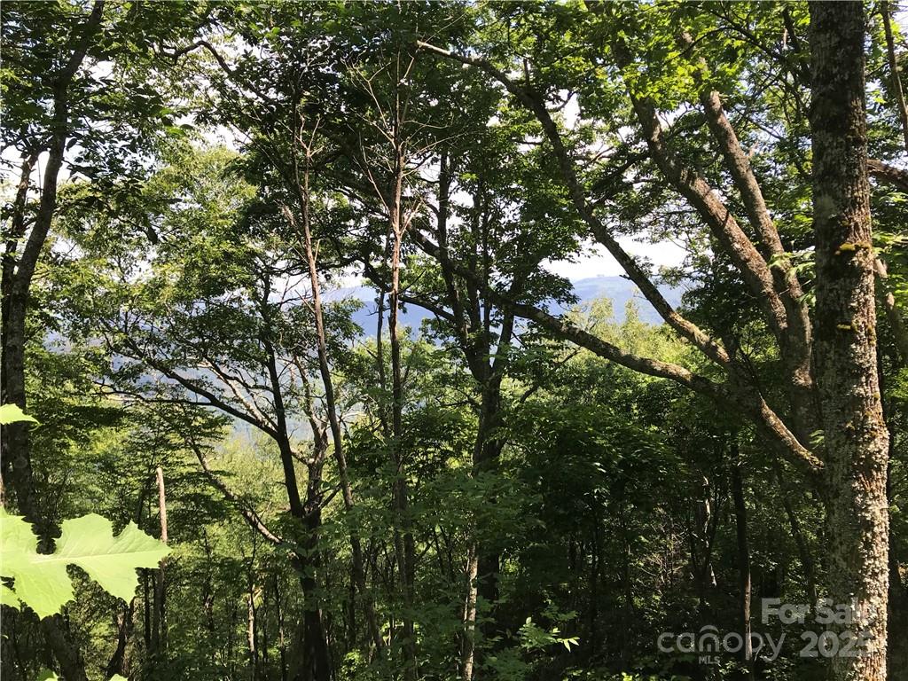 Hurricane Ridge Ltd - Land