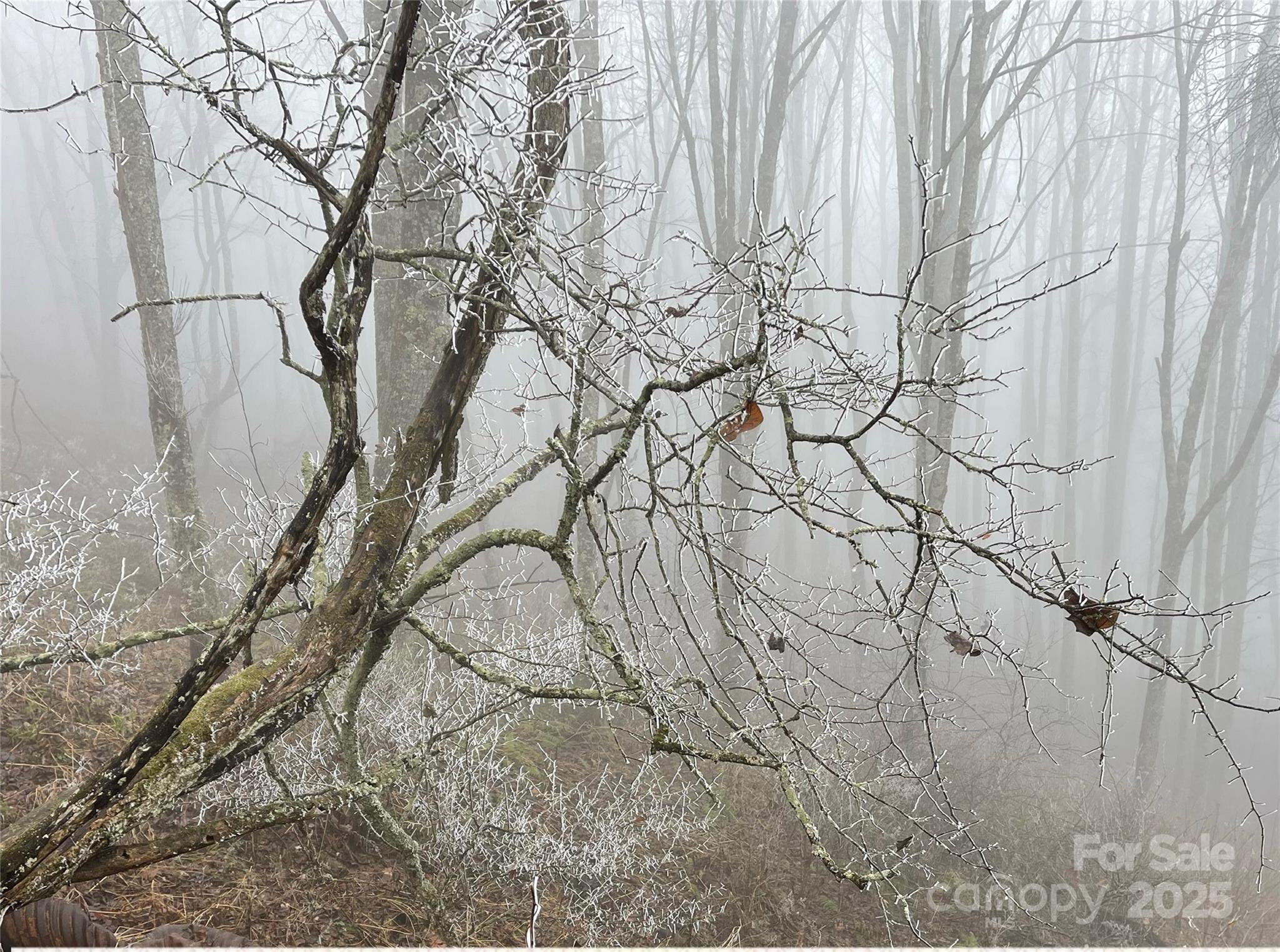 Hurricane Ridge Ltd - Land