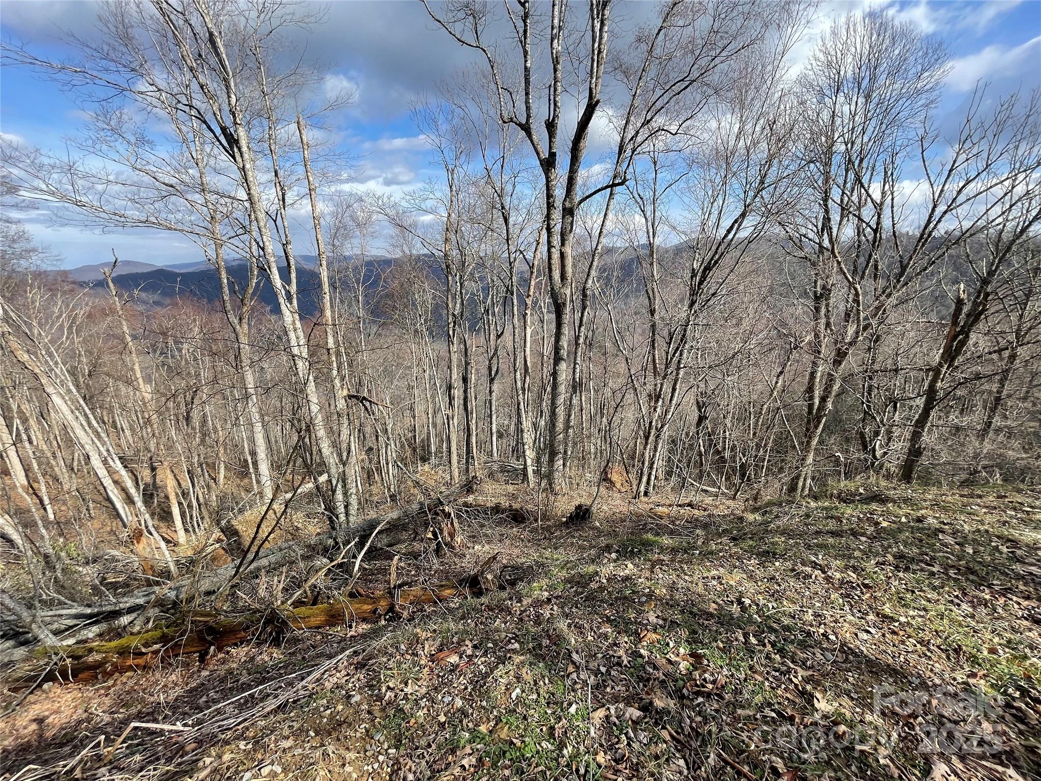Hurricane Ridge Ltd - Land