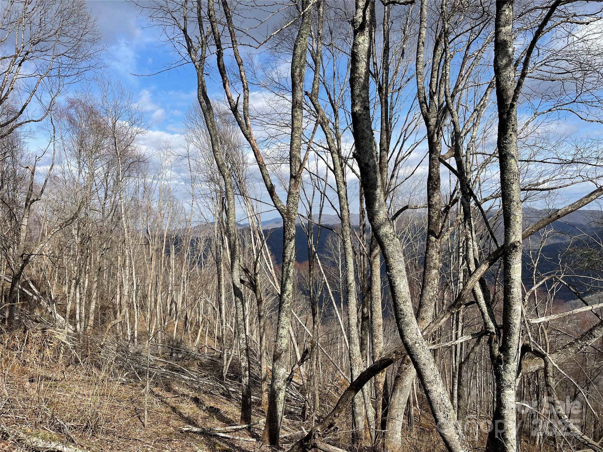 Hurricane Ridge Ltd - Land