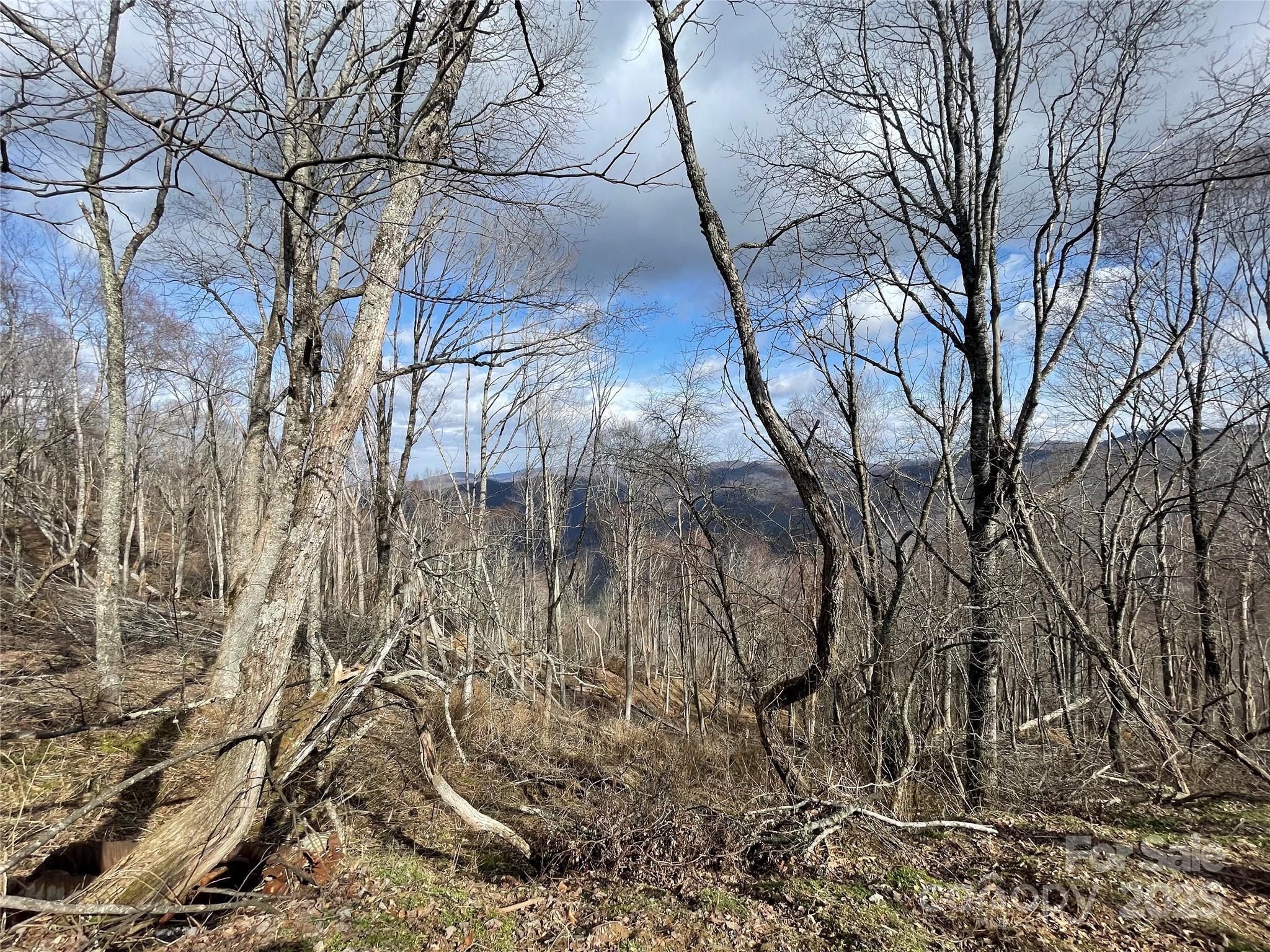Hurricane Ridge Ltd - Land
