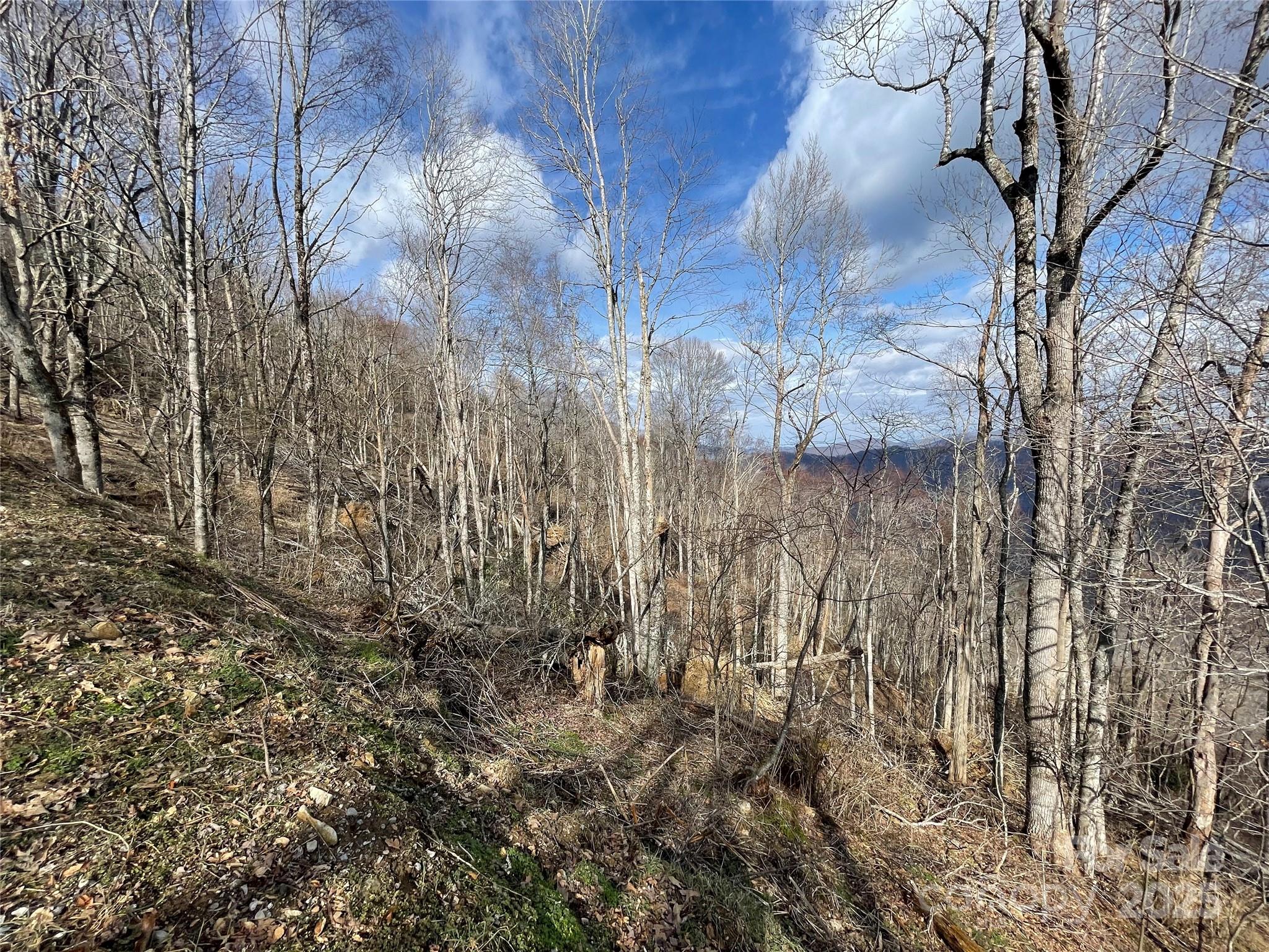 Hurricane Ridge Ltd - Land