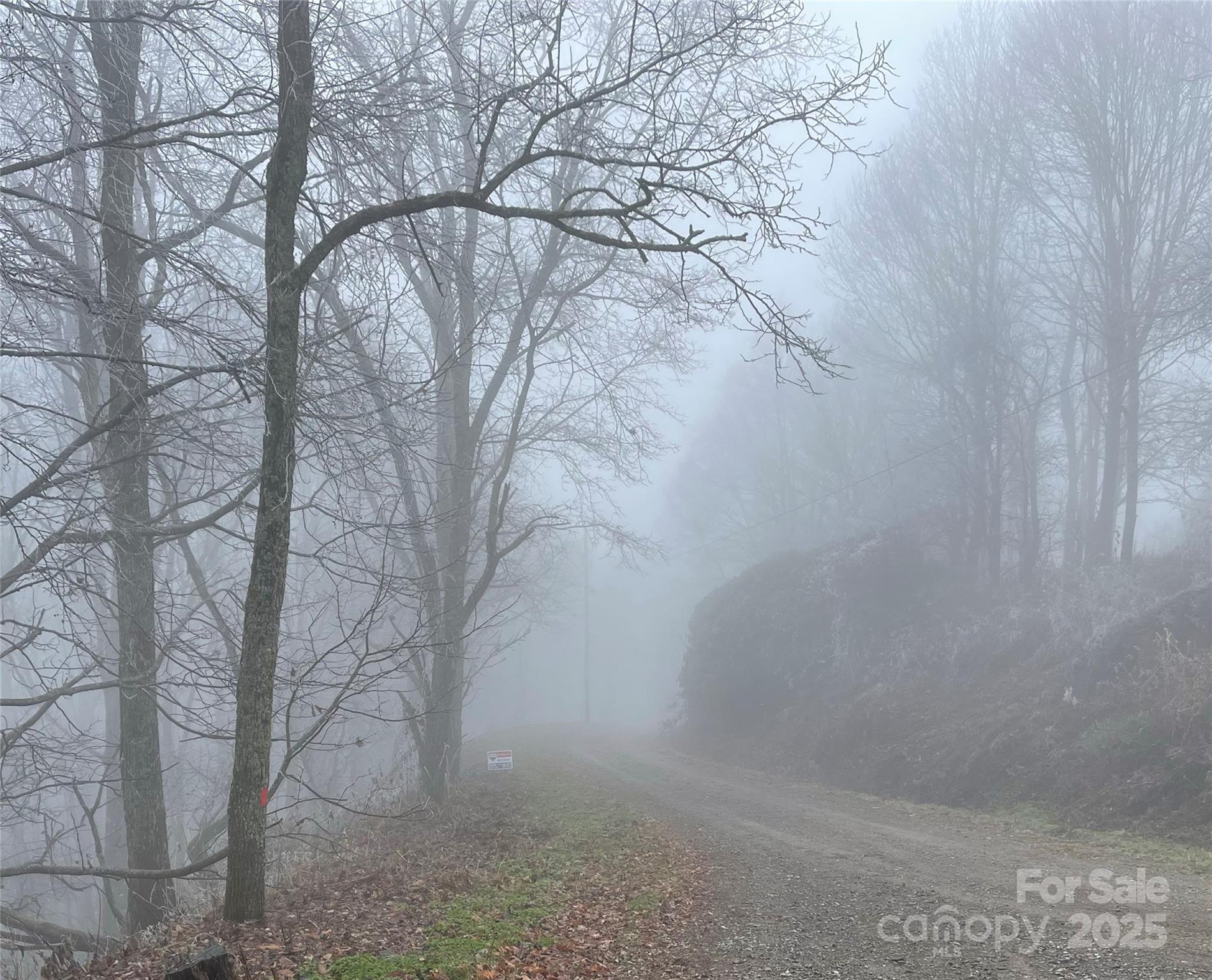 Hurricane Ridge Ltd - Land