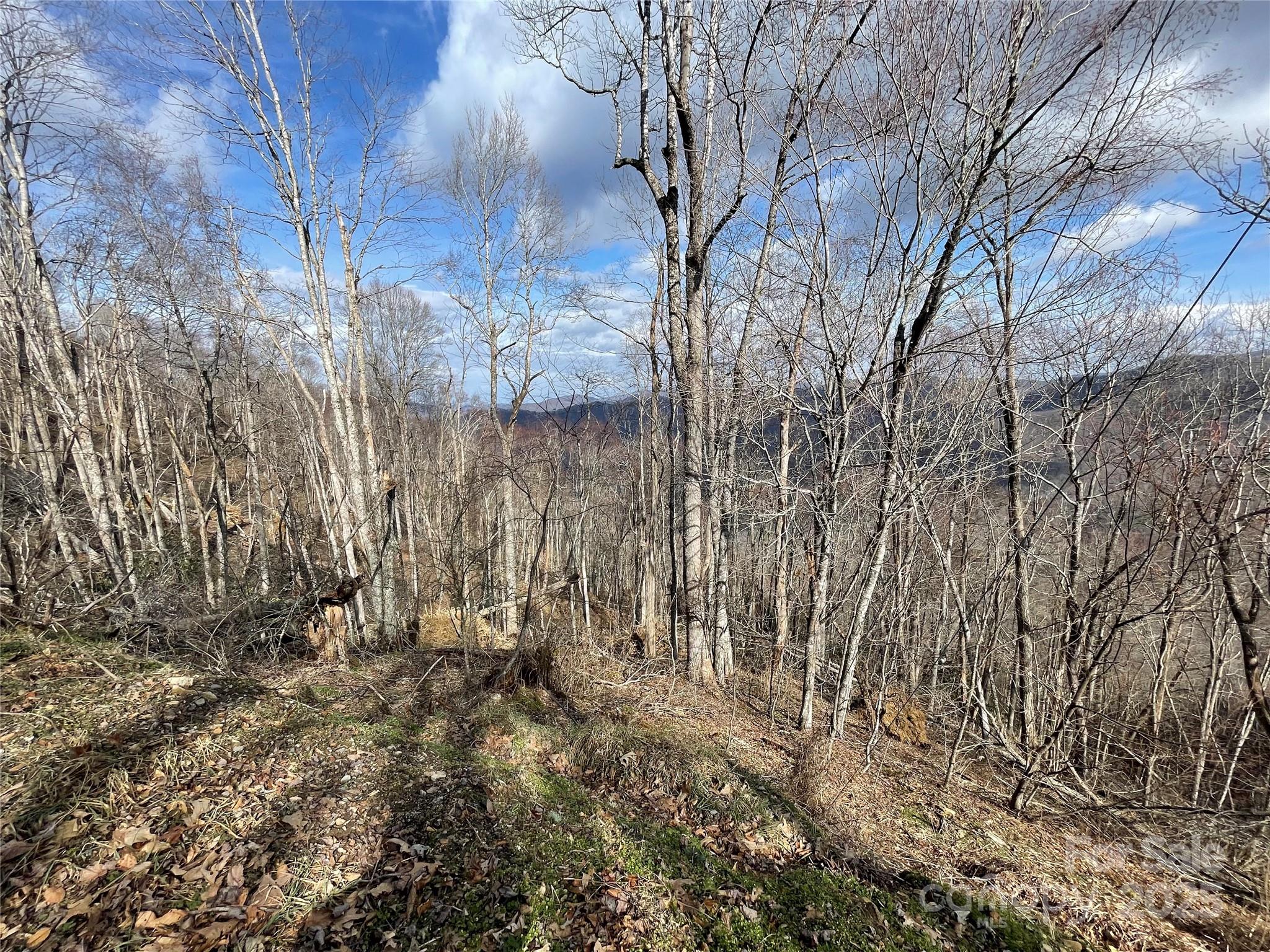 Hurricane Ridge Ltd - Land