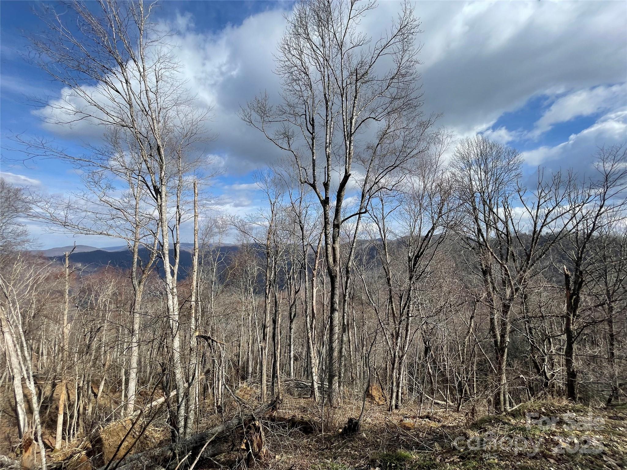 Lot #39 Ridge Top Circle