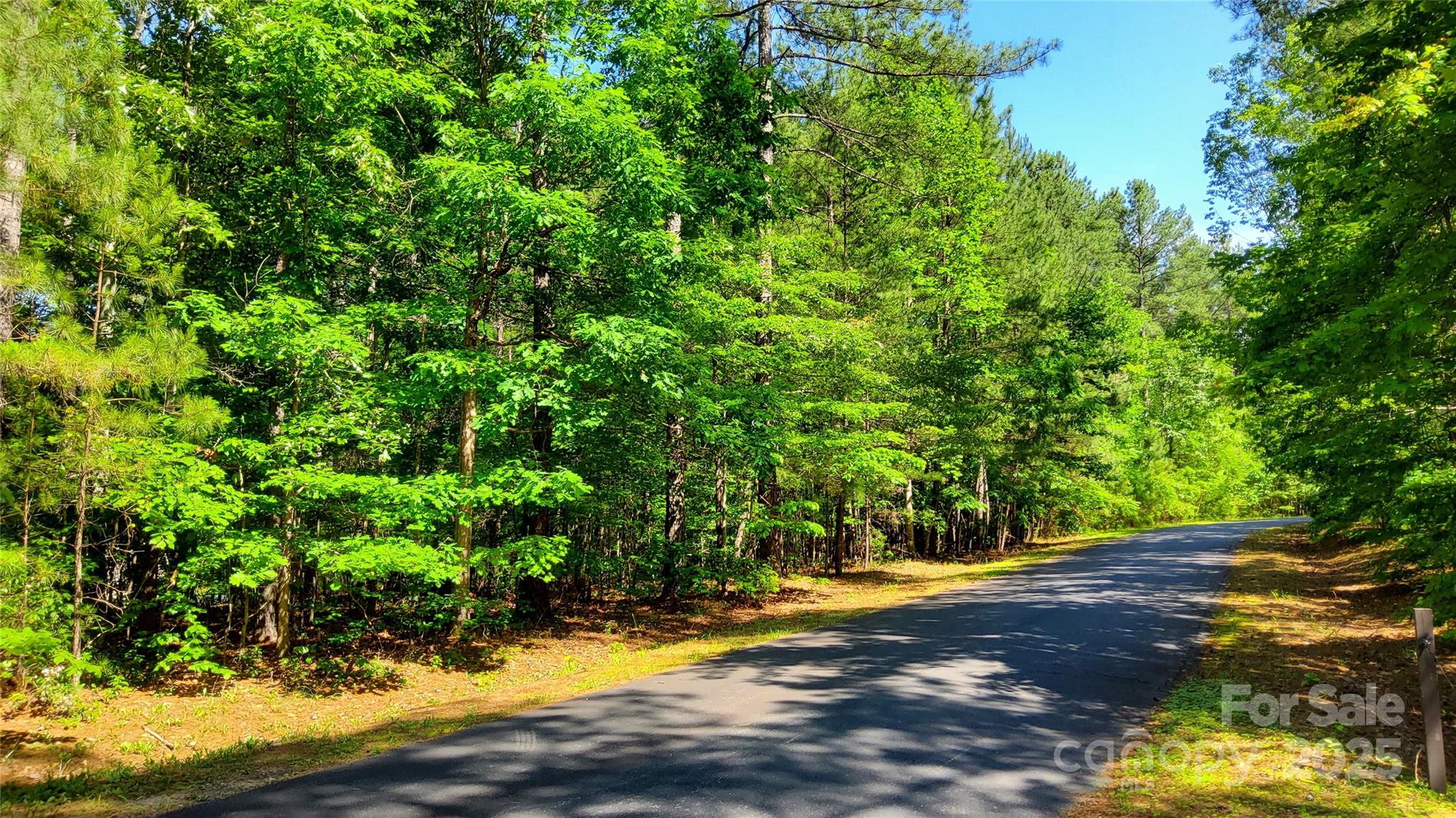 23/24 Loblolly Lane 23/24
