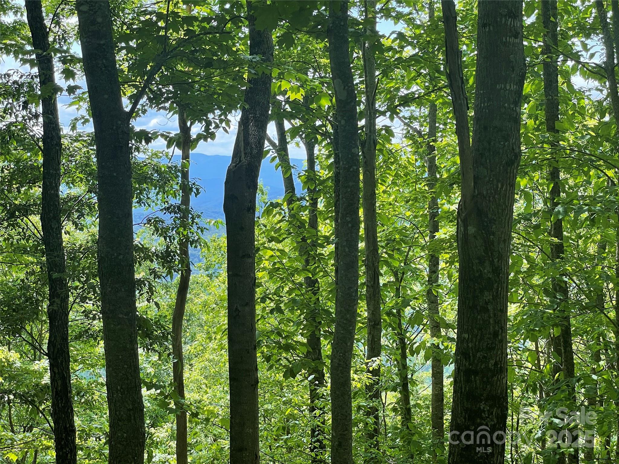 223 Flying Dutchman Road