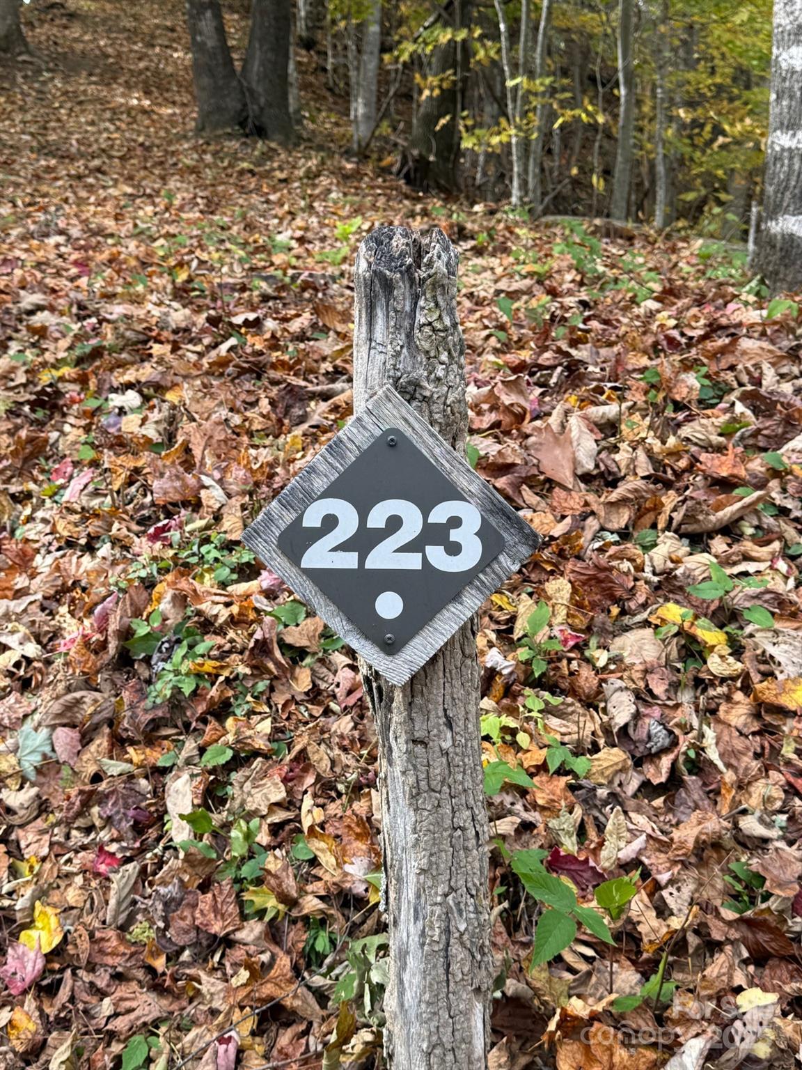 223 Flying Dutchman Road