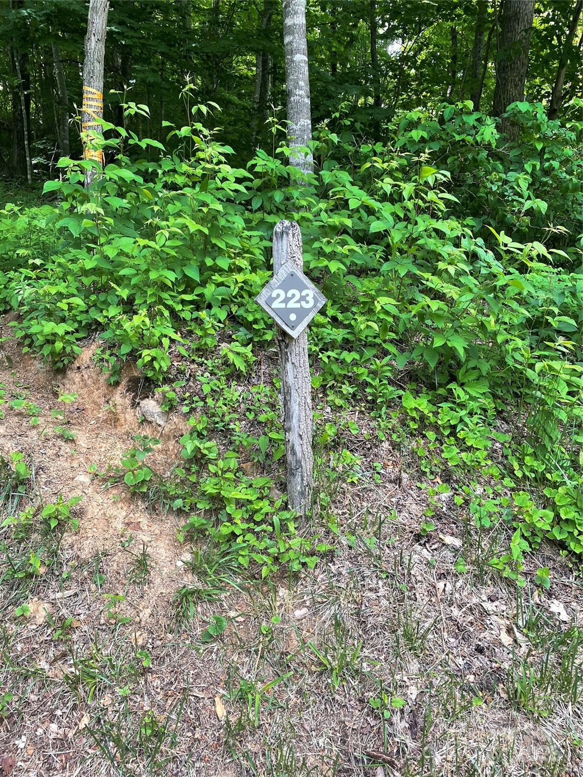 223 Flying Dutchman Road