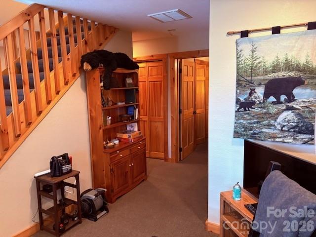 Sheepback Mountain Estates - Residential