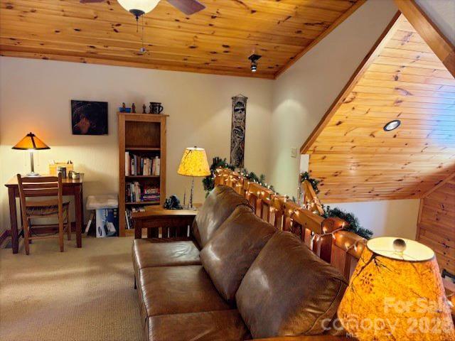 Sheepback Mountain Estates - Residential