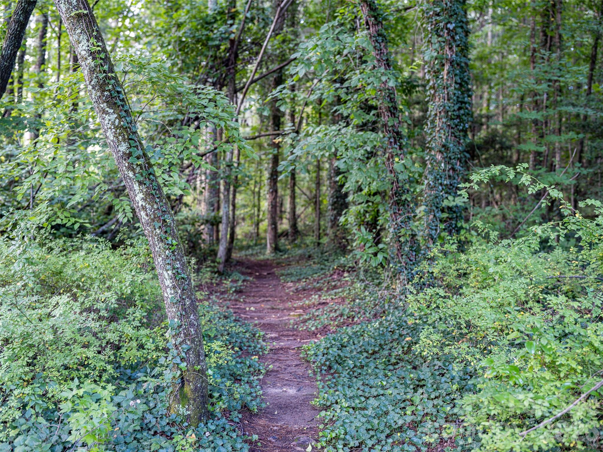 Flat Rock Manor - Residential