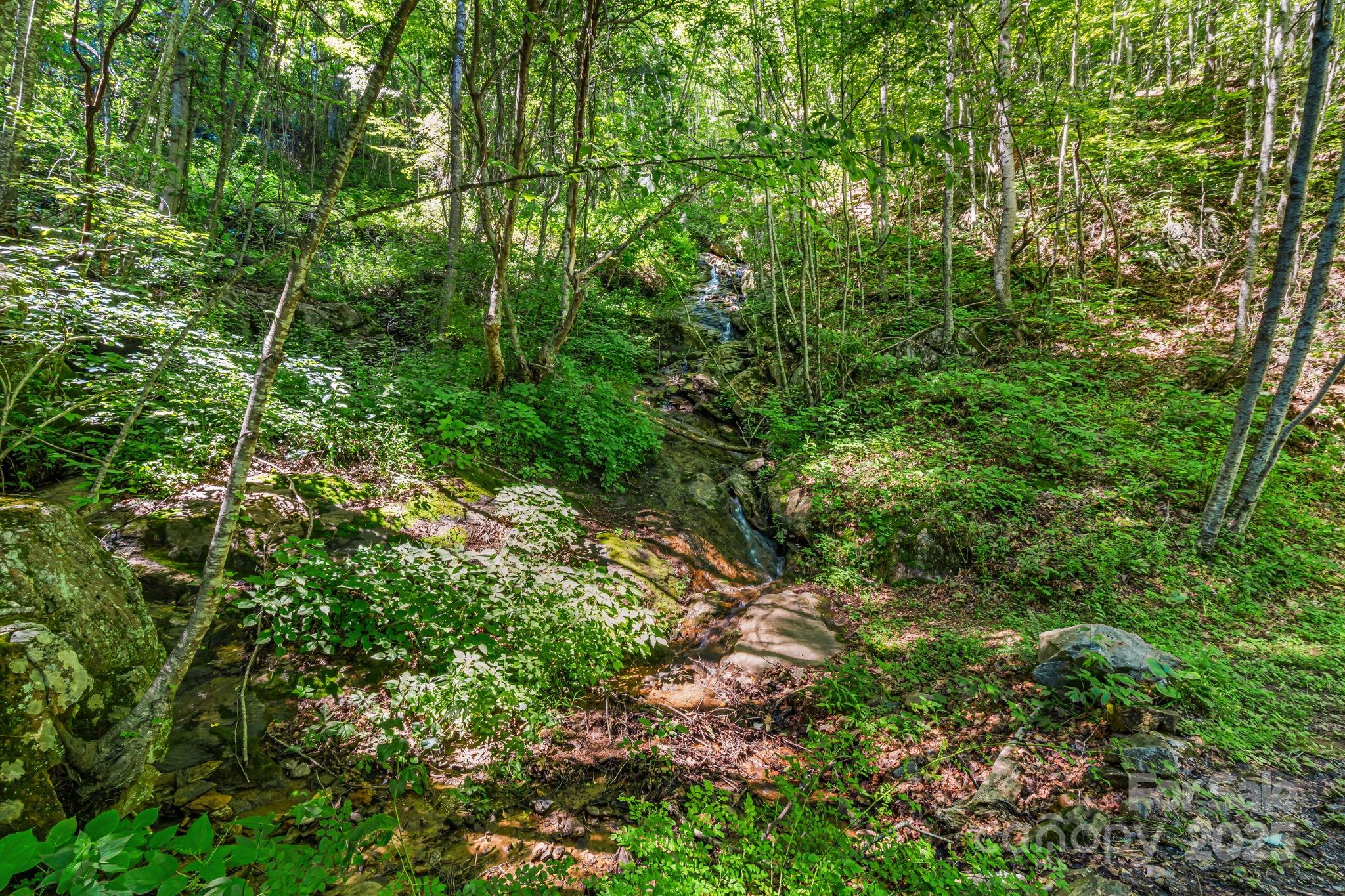 Bear Wallow - Residential