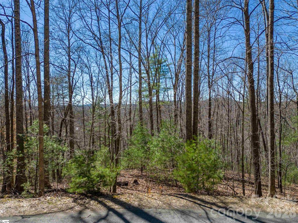 132 Overlook Park Drive 51