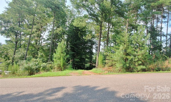 2620 WATERSIDE BLVD NW, VALDESE, NC 28690 - Image 0a85a0a8b735dbdc7c3a34154ebb257c/3152254910