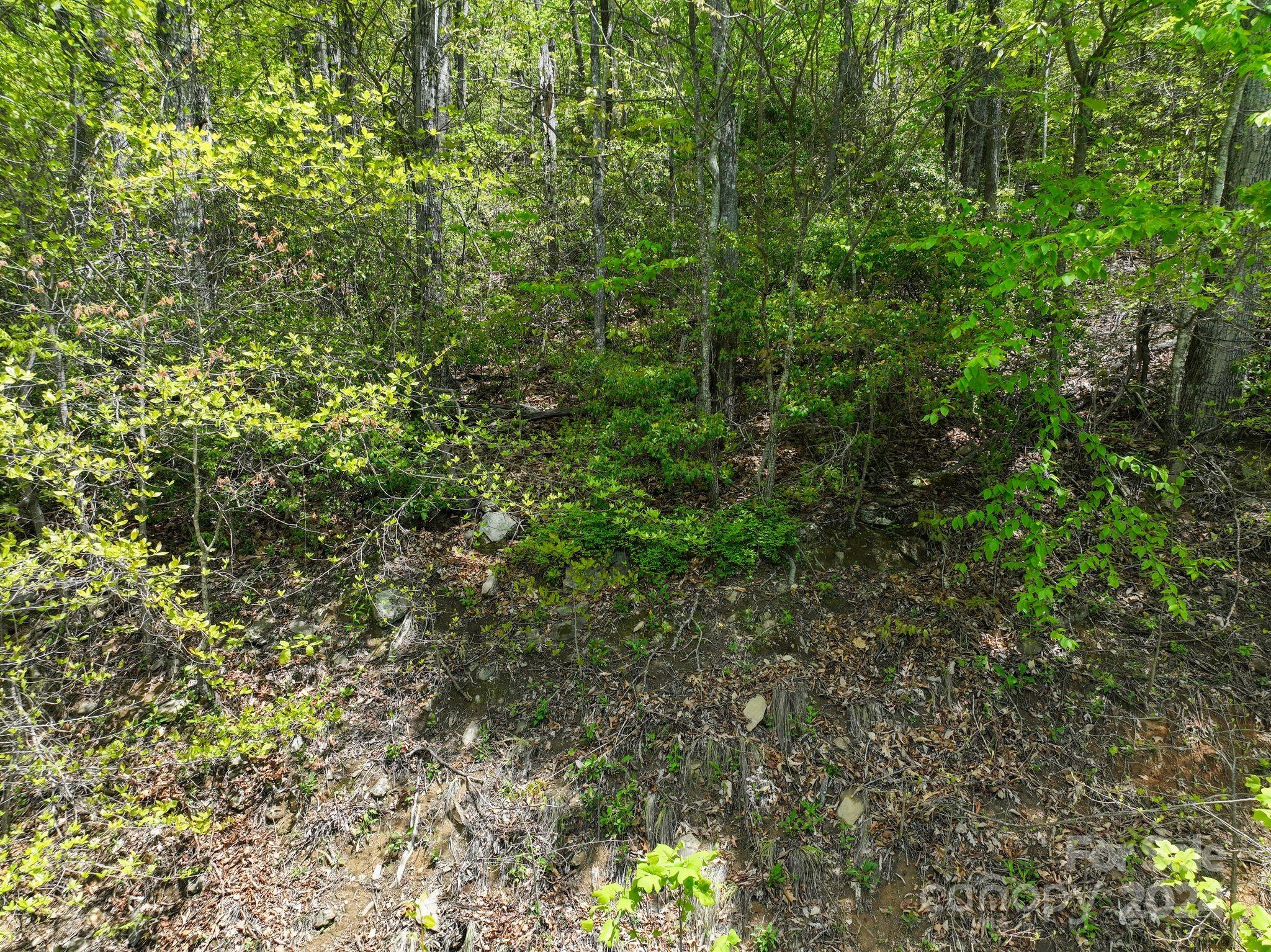 99999 Winding Poplar Road 909