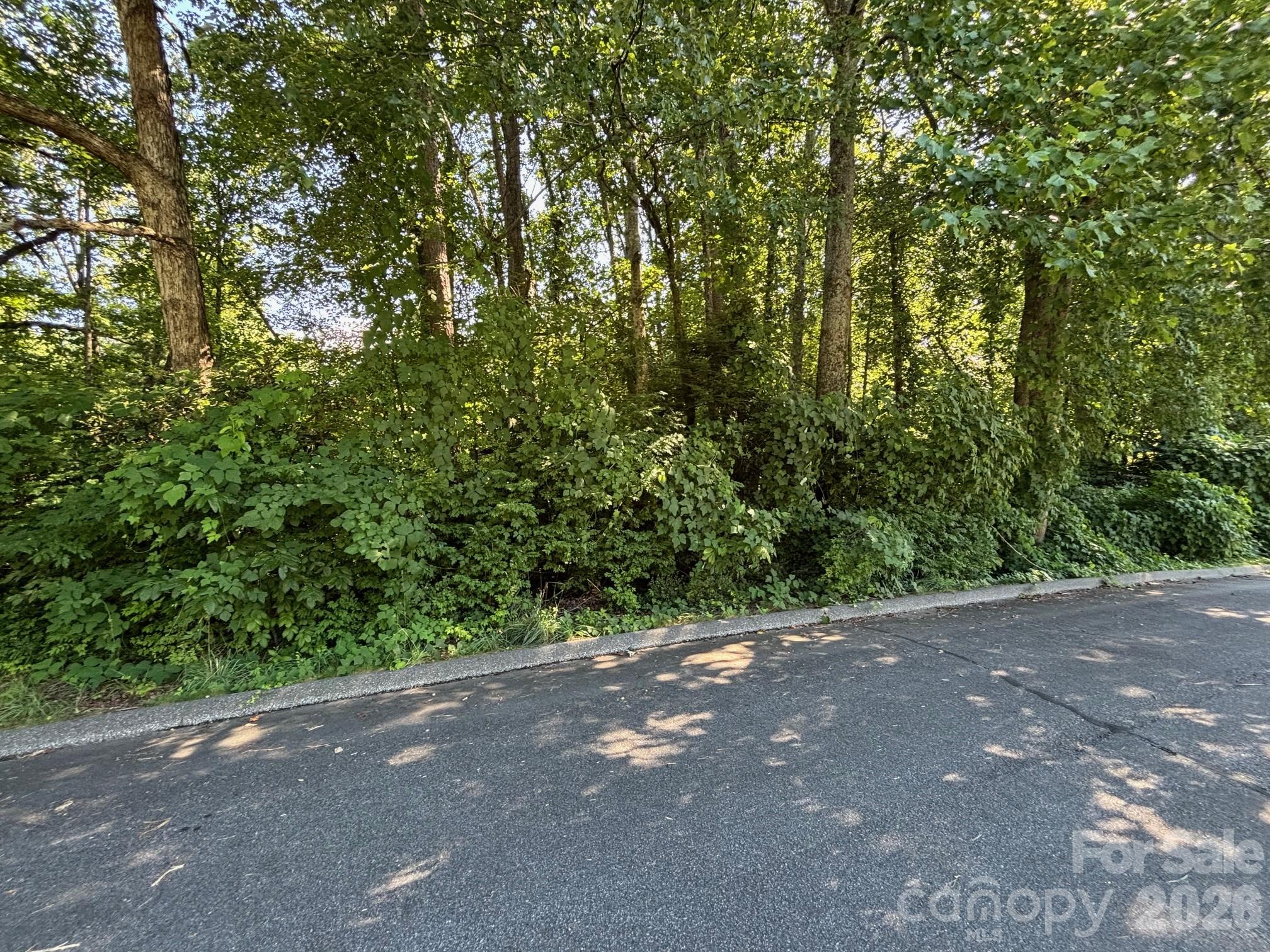 V/L Woodland Drive 11