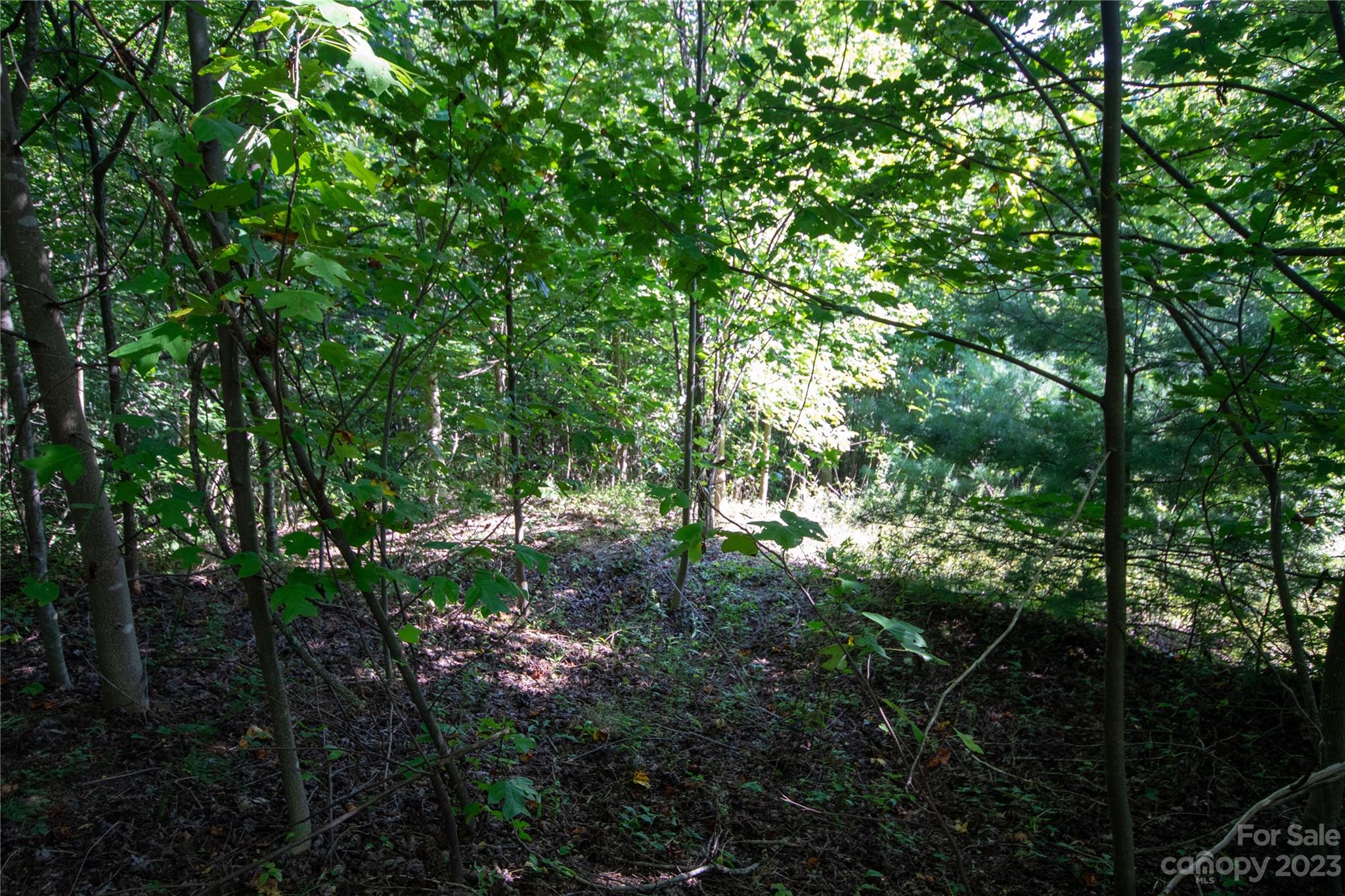 Lot# 526 Timber Rock Drive 526