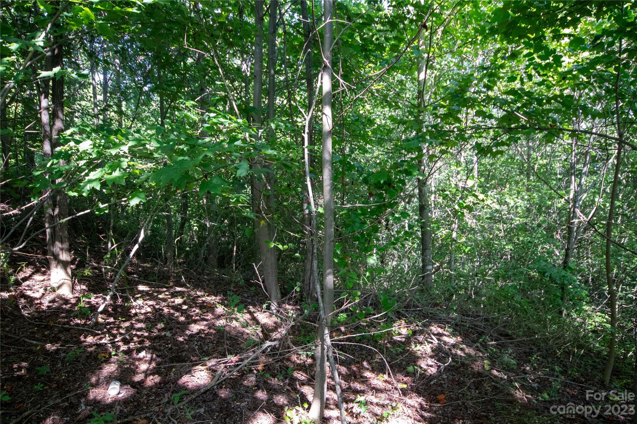 Lot# 526 Timber Rock Drive 526