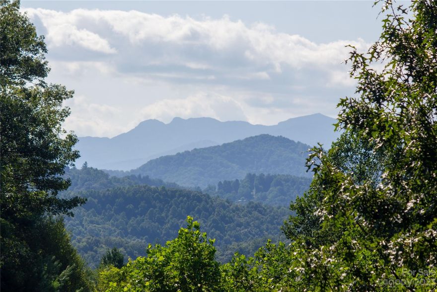 JUST REDUCED!! 1.20 AC BUILDABLE LOT JUST SOUTH OF BLOWING ROCK WITH POTENTIAL YEAR ROUND GRANDFATHER VIEWS! This property, nestled in the Western NC mountains is only 10 minutes from Blowing Rock and less than 15 minutes from the Blue Ridge Parkway. Located just off of US Hwy 321 and within the gated community of Timber Rock, this lot provides a 1.20 Acre homesite. Once cleared, this lot would provide mountain views and an elevation range from 2070 to 2200 which offers the nice Summer temps without the Blowing Rock price!! Amenities include a gorgeous outdoor pavilion with rock fireplace, kitchen, grilling area, picnic area by the Yadkin River, restrooms and plenty of space to host the perfect outdoor event! This is your opportunity to own and build your beautiful mountain home or weekend getaway!